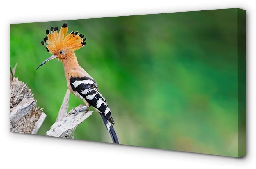 Obraz na plátne Strom farebný papagáj 125x50 cm