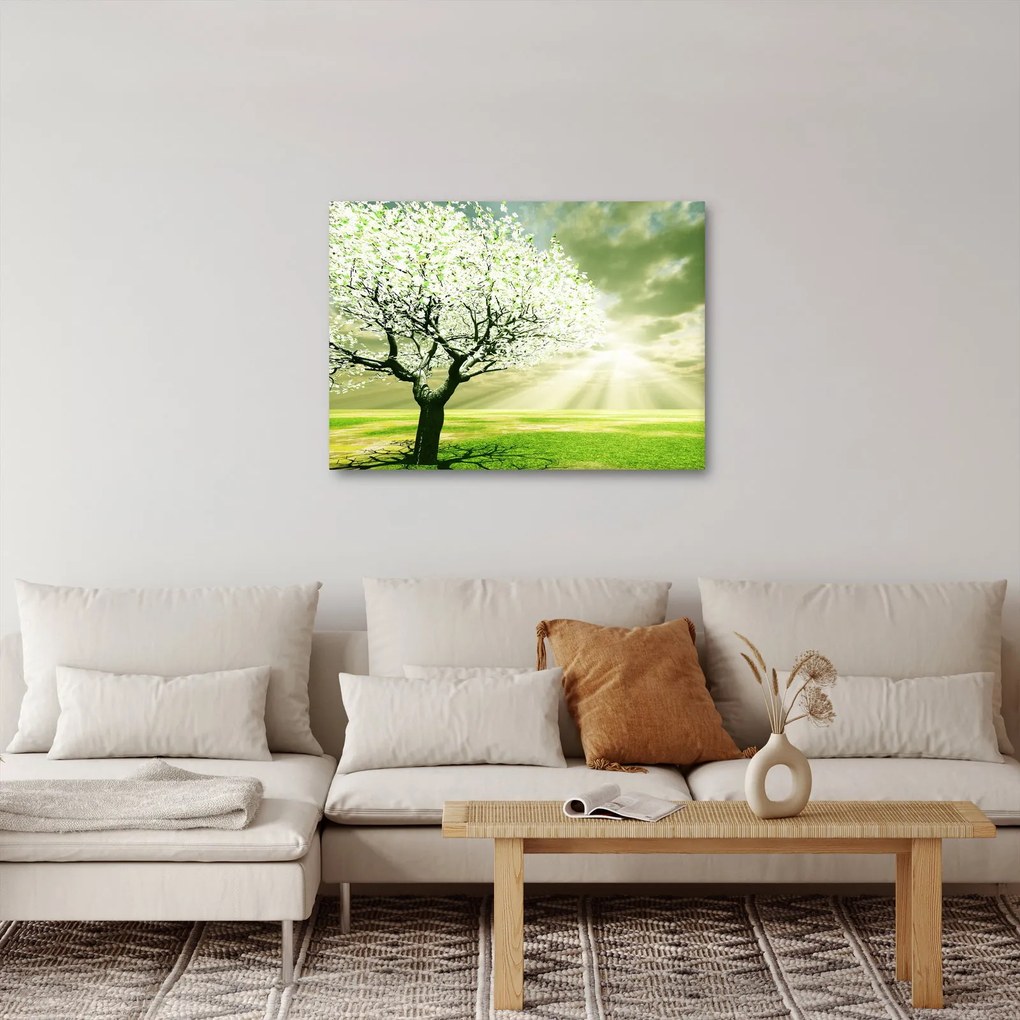 Obraz stromu na lúke (70x50 cm)