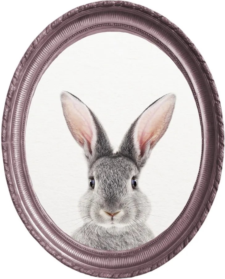 Oválny nástenný obraz Really Nice Things Rabbit, 40 x 50 cm