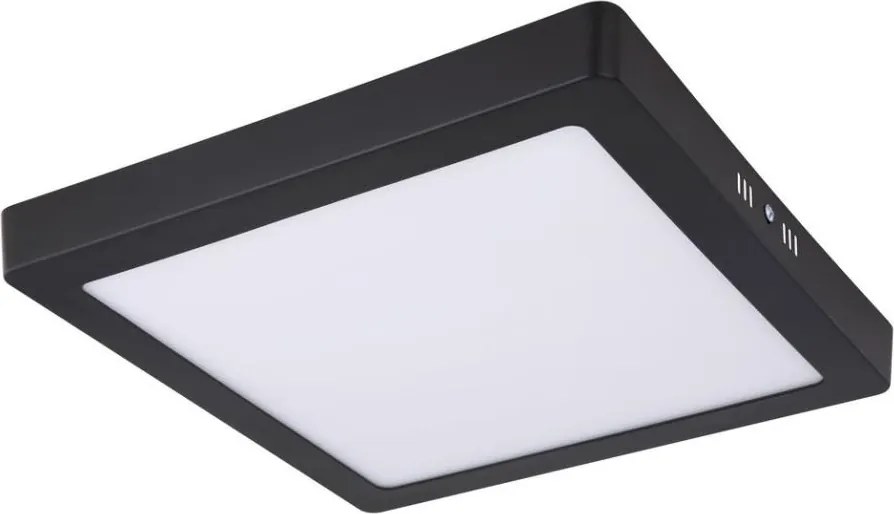 Globo 12374-24 - LED Stropné svietidlo DINO LED/22W/230V