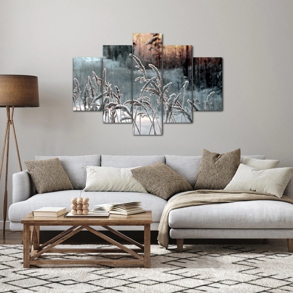 Obraz - Zamrznutá lúka (150x105 cm)