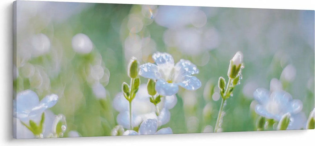 Obraz - Jemné kvety (120x50 cm)