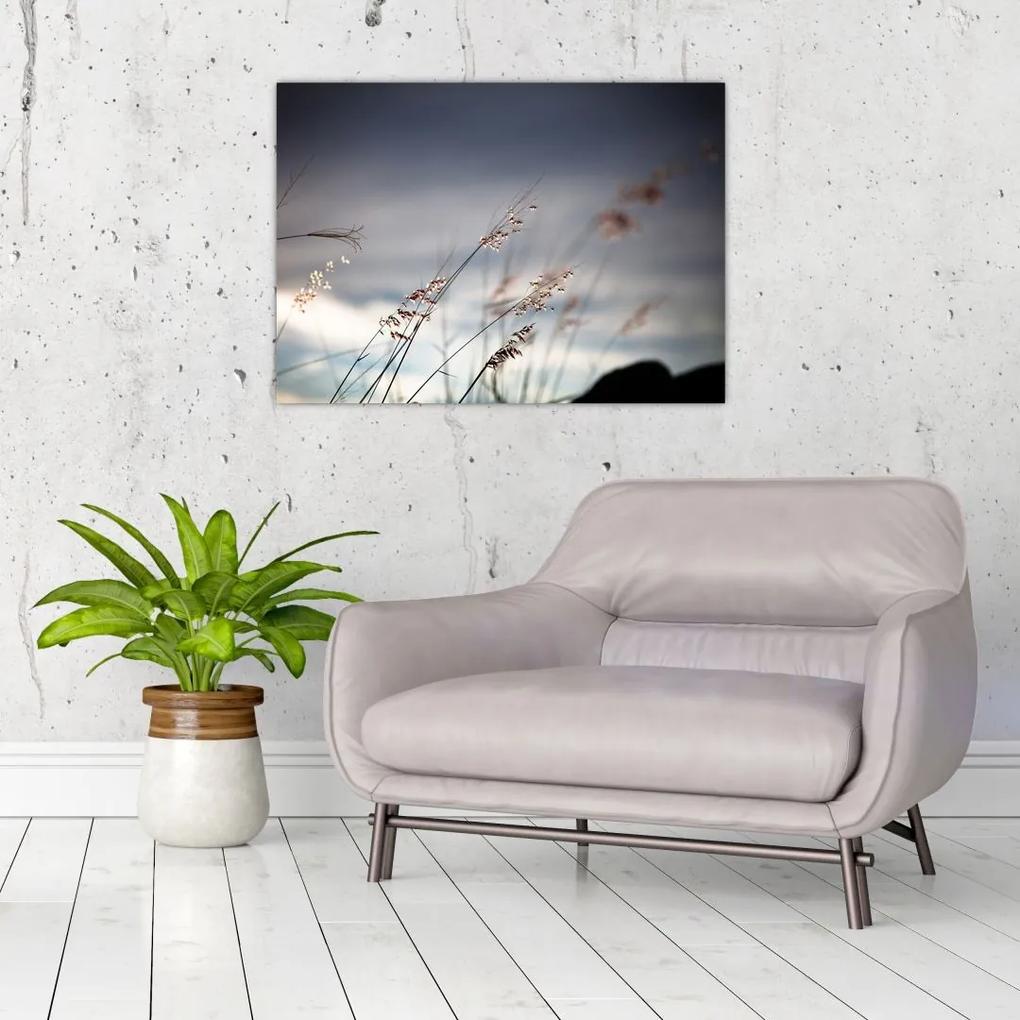 Sklenený obraz - Lúčne kvety pri jazere (70x50 cm)