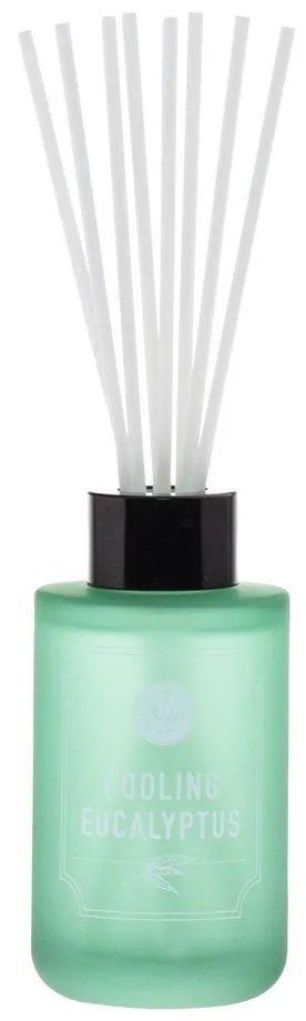 dw HOME Vonný difuzér Eucalyptus 100 ml