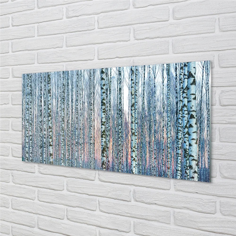 Nástenný panel  Brezového lesa pri západe slnka 120x60 cm