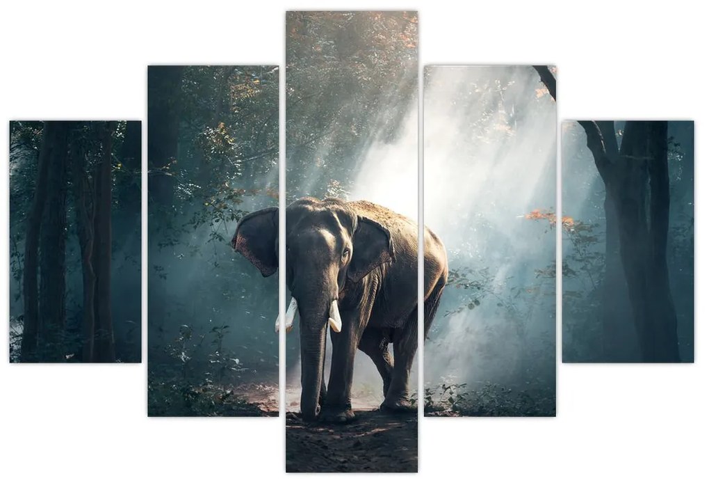 Obraz slona v džungli (150x105 cm)