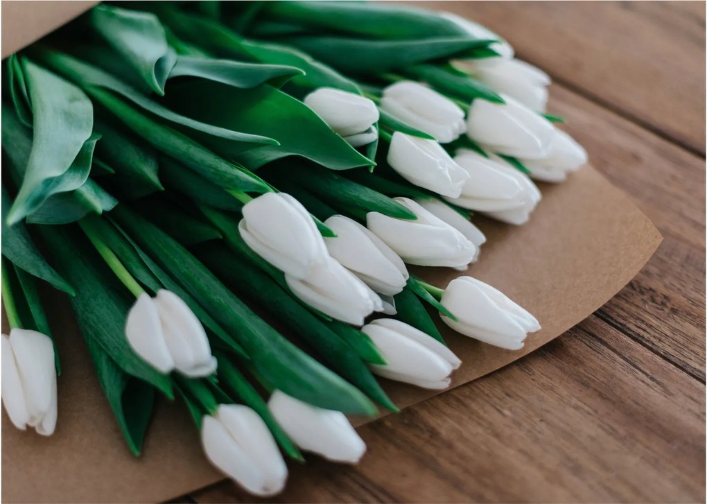 Obraz kytice bielych tulipánov (70x50 cm)