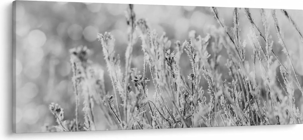 Obraz - Chladná zima (120x50 cm)
