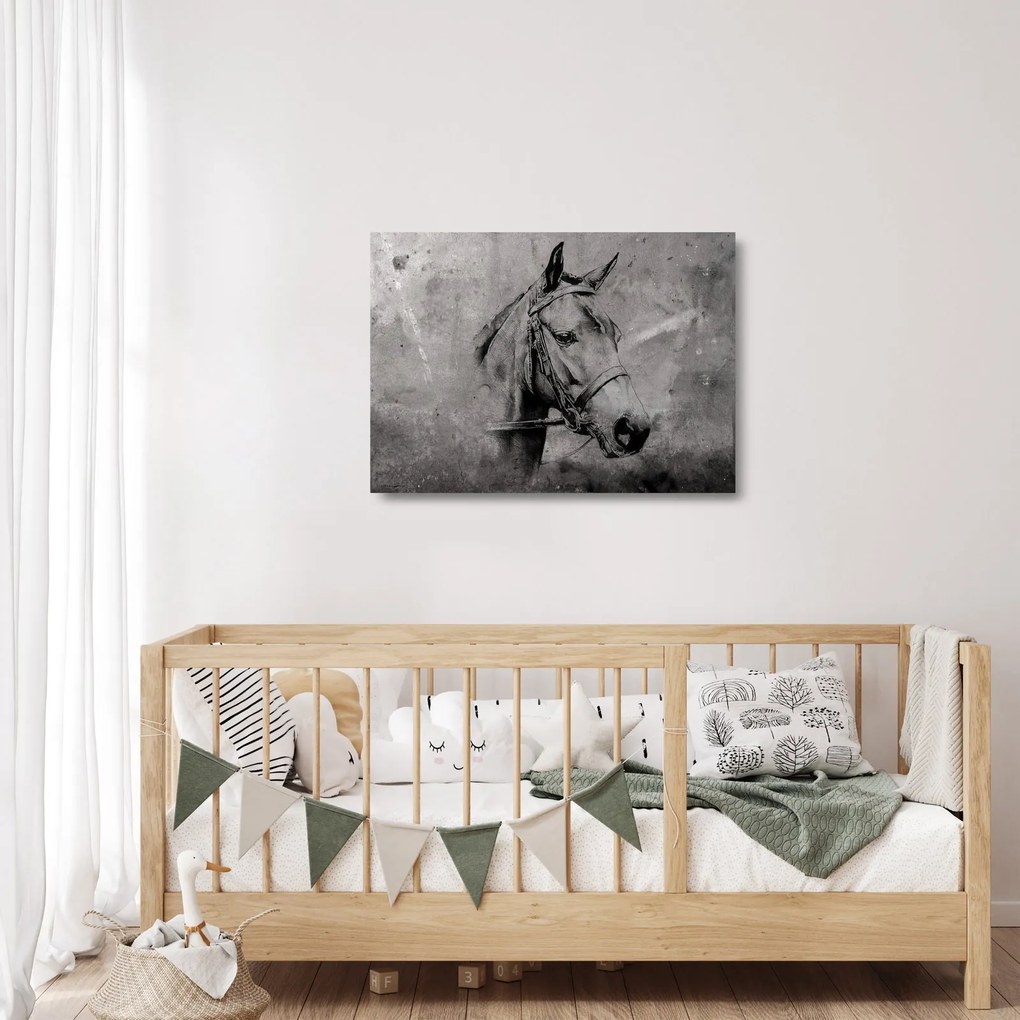 Sklenený obraz - Portrét koňa (70x50 cm)