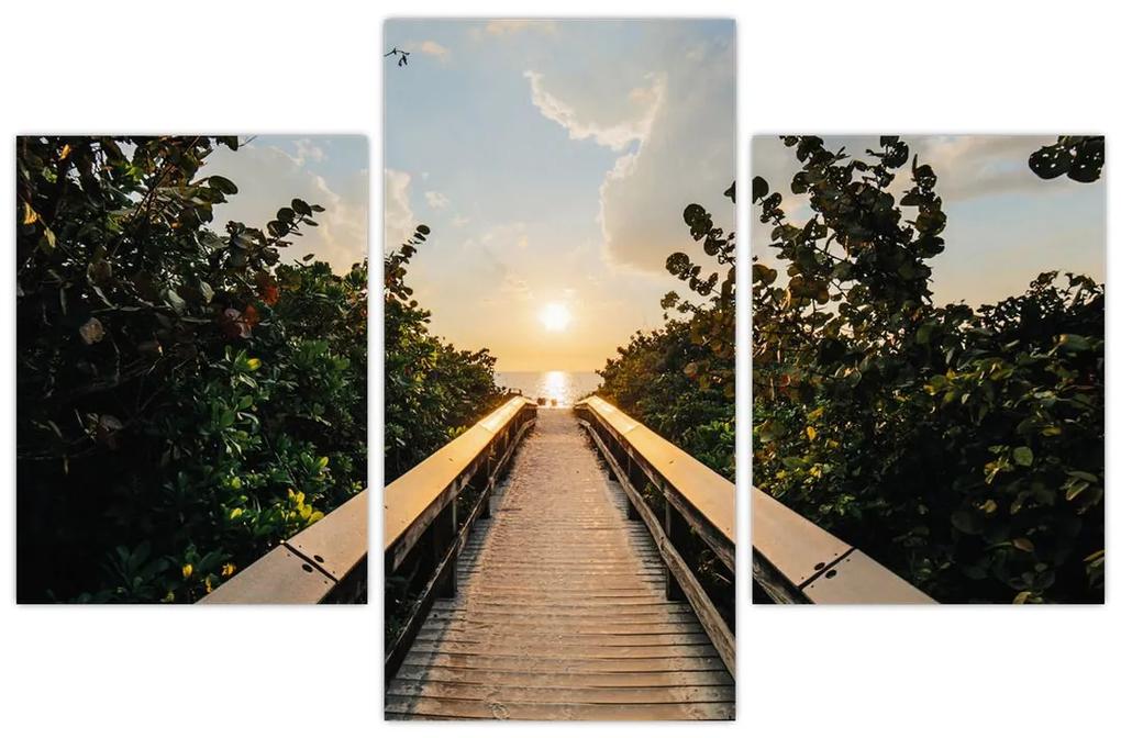 Obraz - cesta k slnku (90x60 cm)