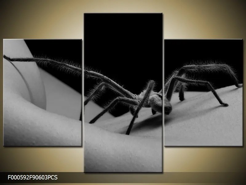 Obraz na plátne Akt s pavúkom, 3 dielne 90x60cm 60,8 €