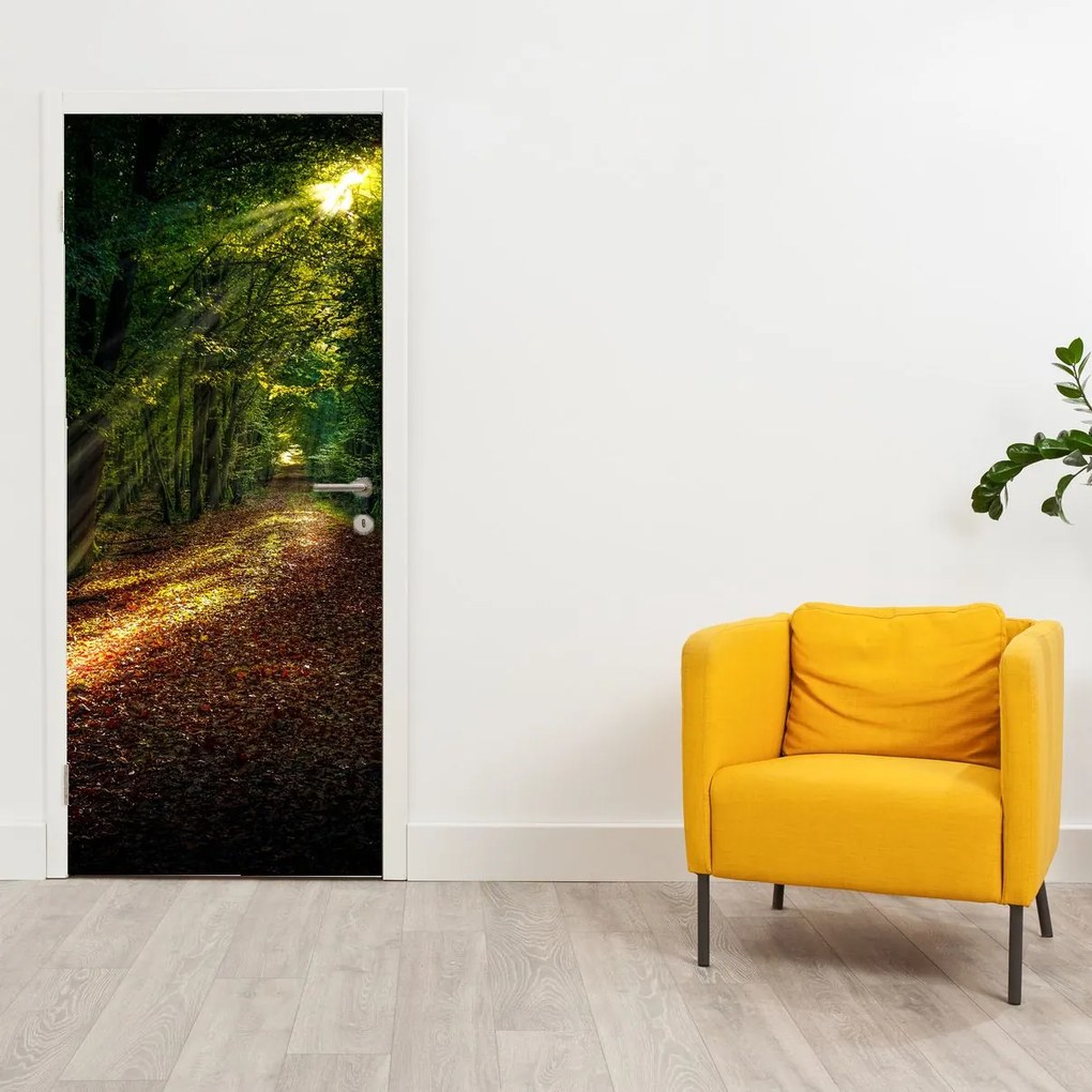 Fototapeta na dvere - Lesná cesta (95x205cm)