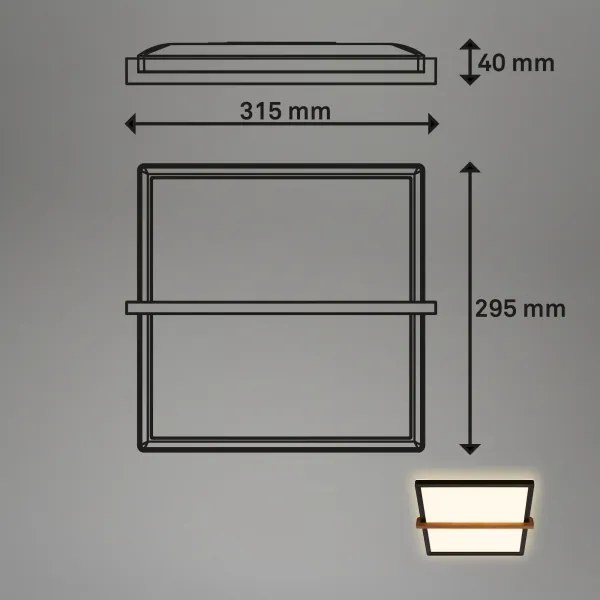 Briloner 3845015 - LED Stropné svietidlo LED/18W/230V 29,5x31,5 cm
