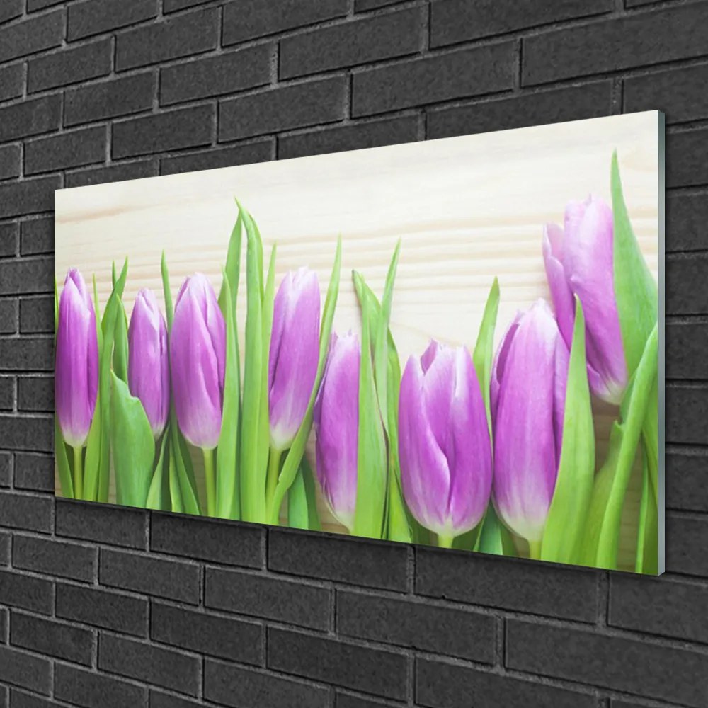 Skleneny obraz Tulipány kvety príroda 120x60 cm