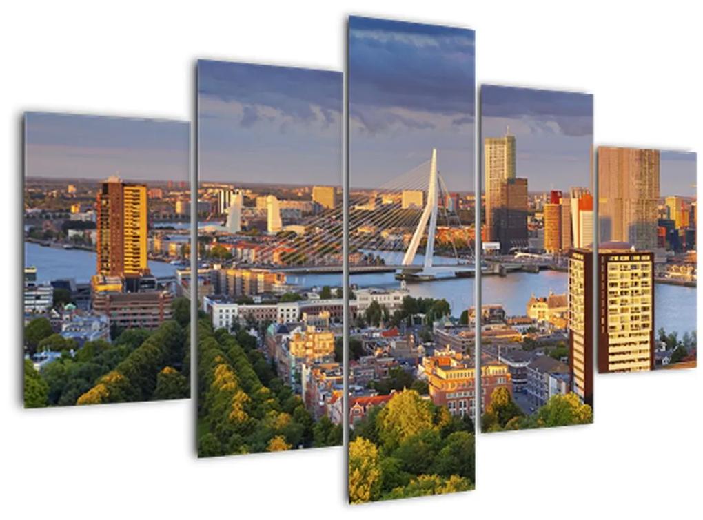 Obraz - Panorama Rotterdamu, Holandsko (150x105 cm)