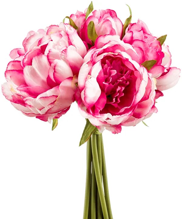 Peony tt. pink bundle x8 24 cm