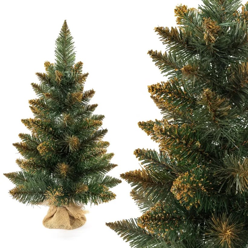 Vianočný stromček Borovica zlatá 55 cm