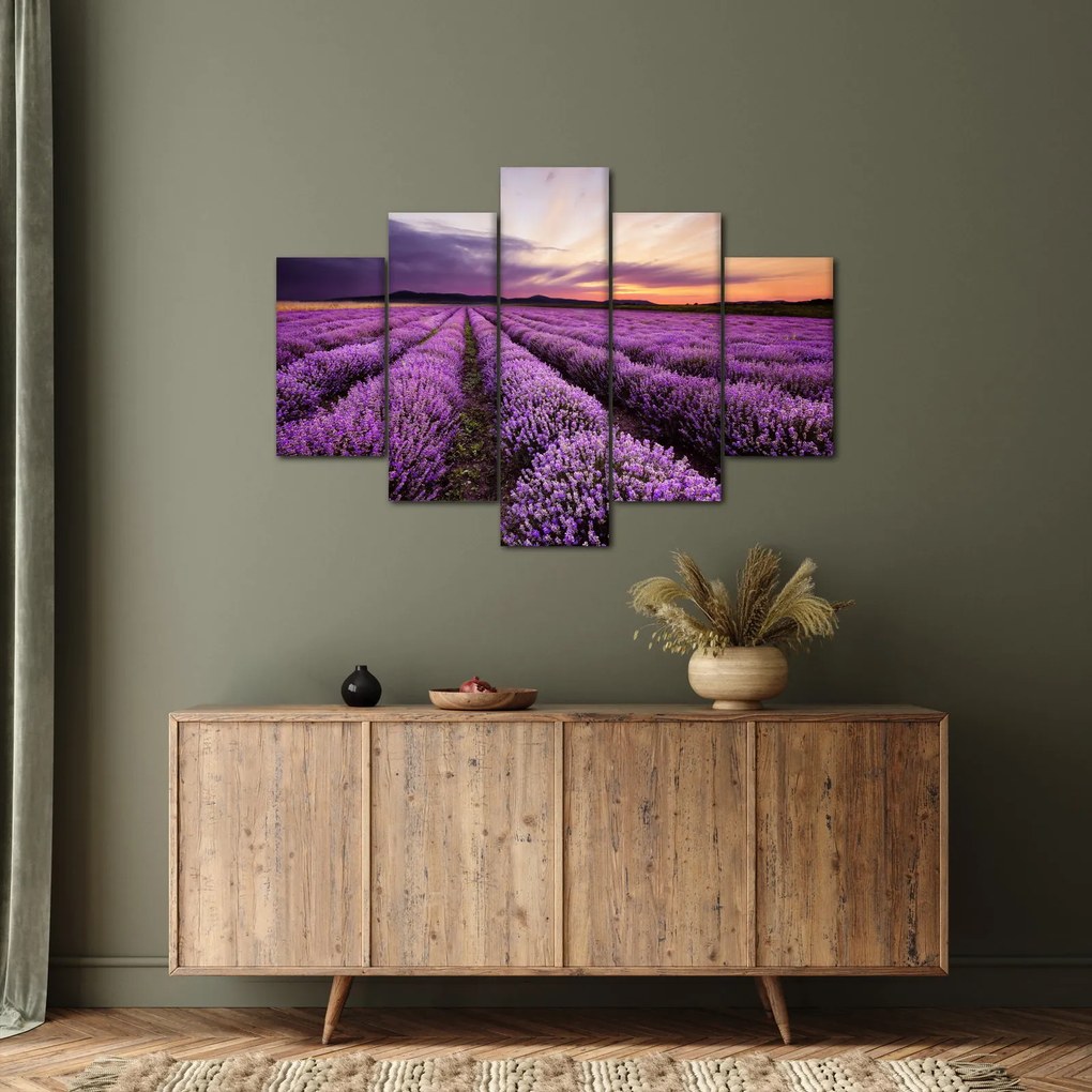 Obraz - Levanduľové pole pri západe slnka (150x105 cm)