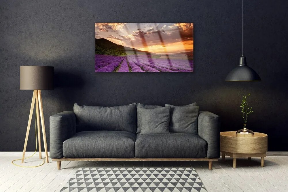 Skleneny obraz Pole levanduľa západ slnka 120x60 cm