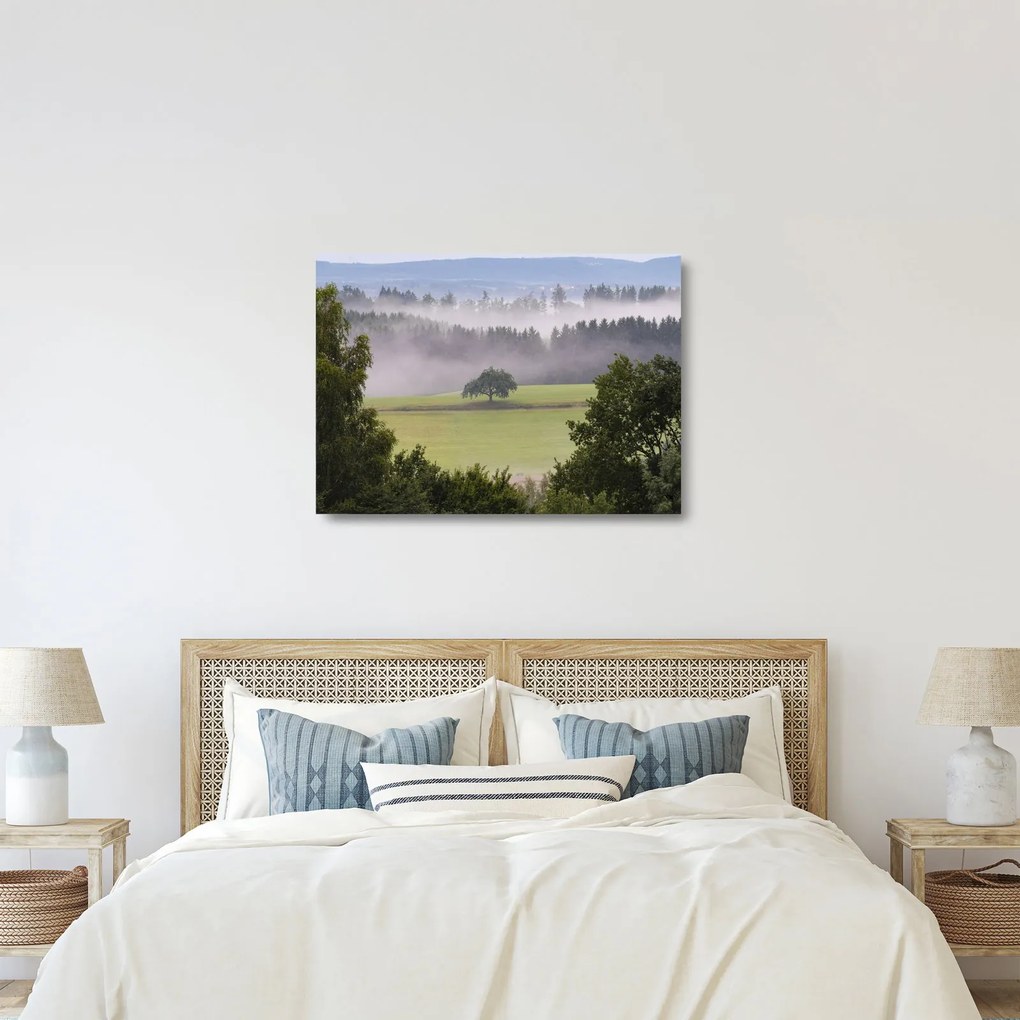 Sklenený obraz lúky so stromom (70x50 cm)