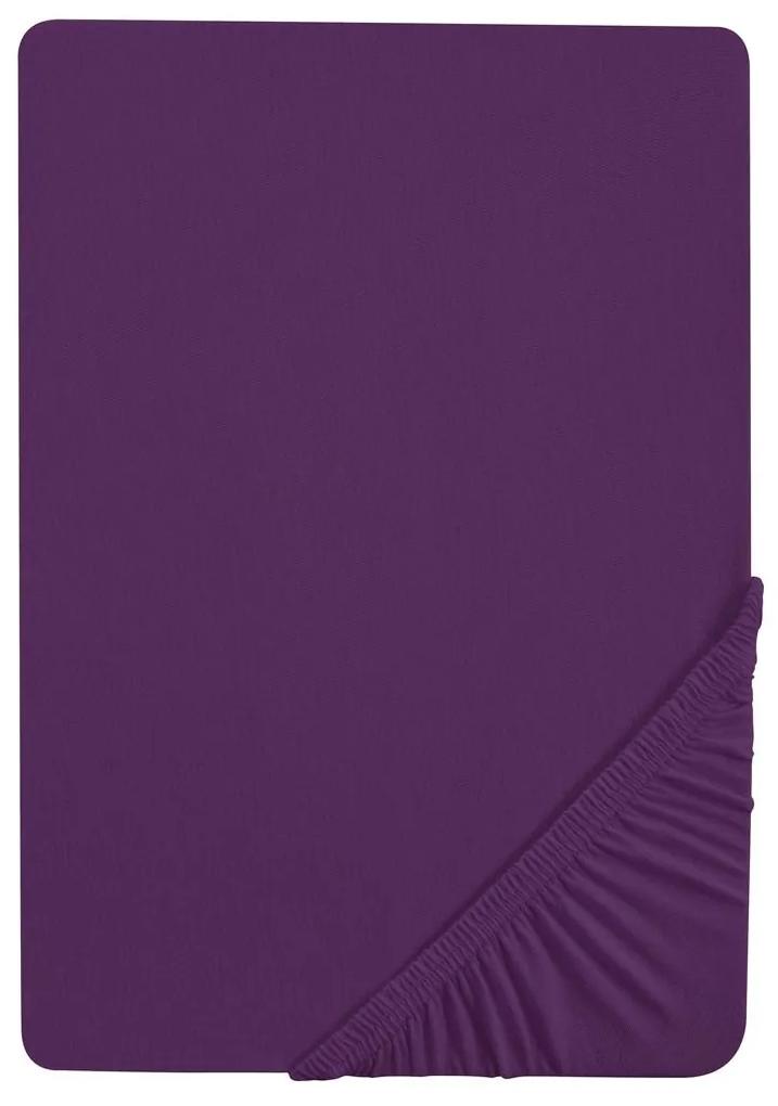 Biberna Napínacia džersejová plachta (180 – 200 x 200 cm, fialová)  (100227068)