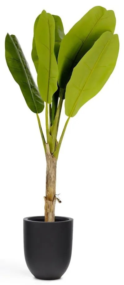 Umelá palma (výška 160 cm) Baa – Kave Home