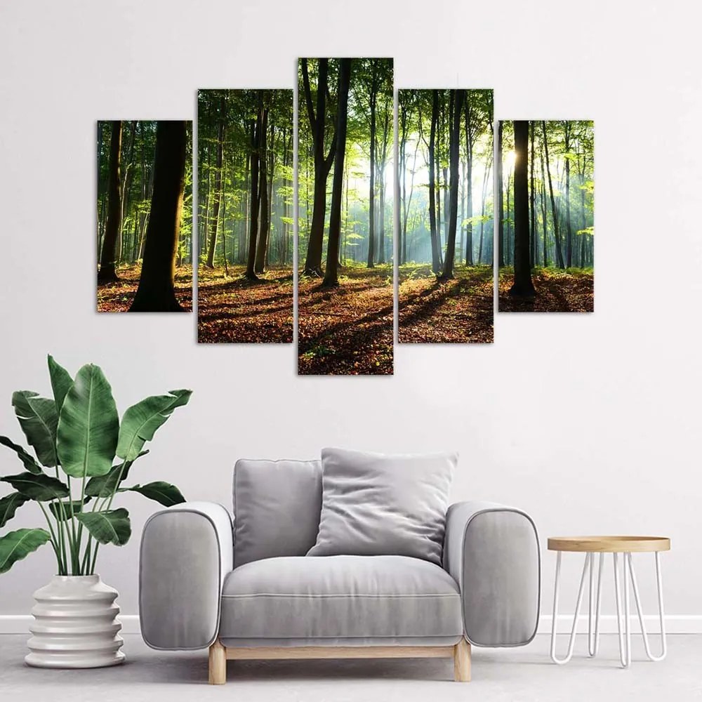 Gario Obraz na plátne Slnečné lúče v lese - 5 dielny Rozmery: 100 x 70 cm