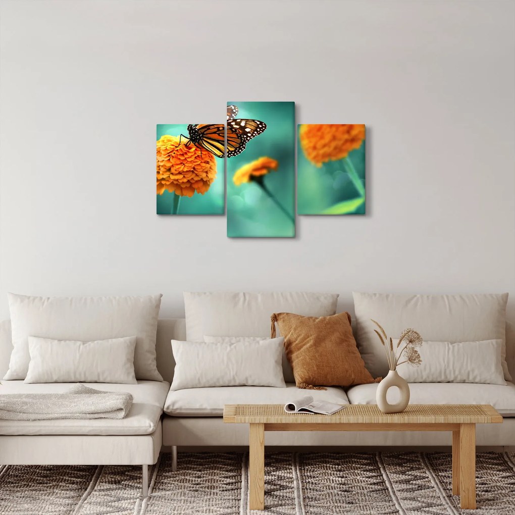Obraz motýľa (90x60 cm)
