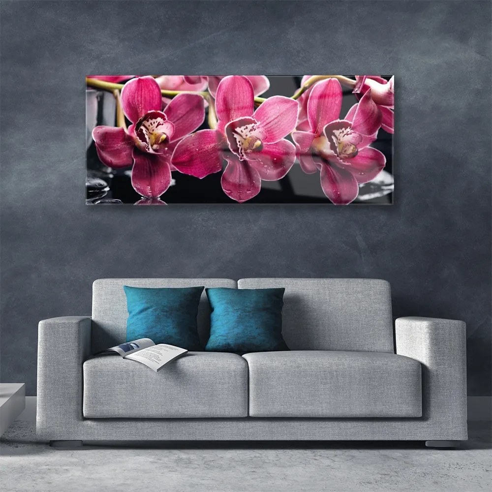 Obraz plexi Kvety orchidey výhonky príroda 125x50 cm
