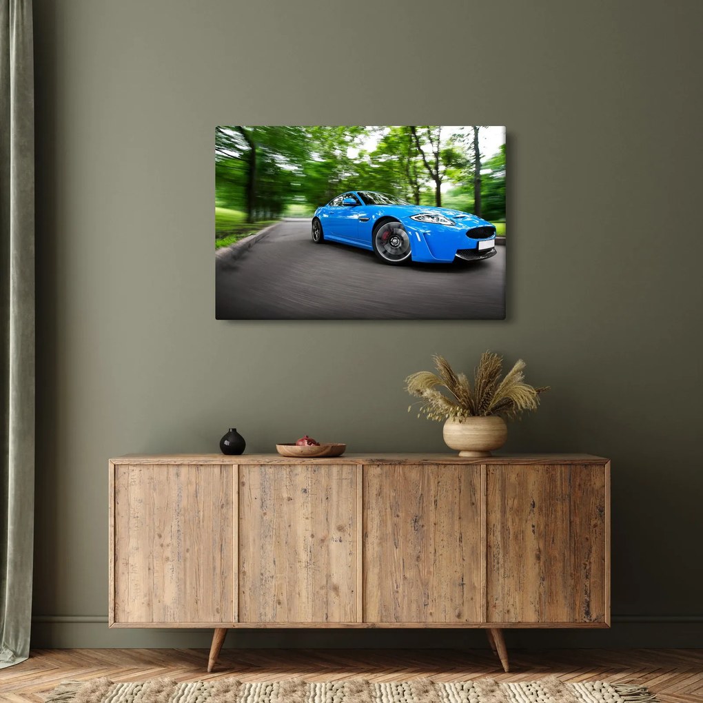 Obraz - Závodné auto (90x60 cm)
