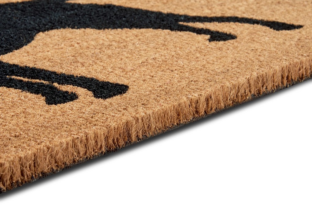 Hanse Home Collection koberce Rohožka Mix Mats Cocos 105662 - 45x75 cm