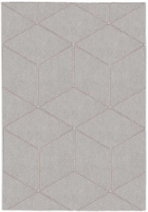 Koberec FENIX ELMAS sivý