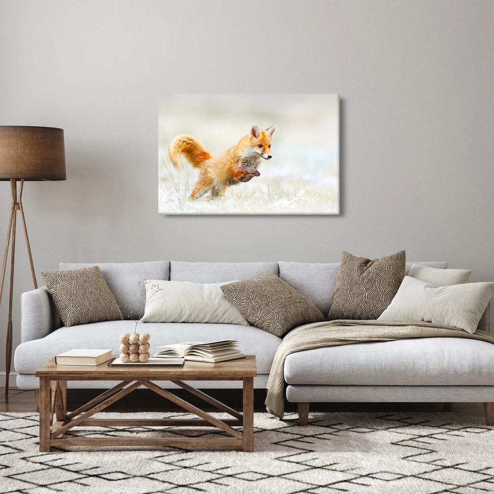 Obraz - Skákajúca líška (90x60 cm)