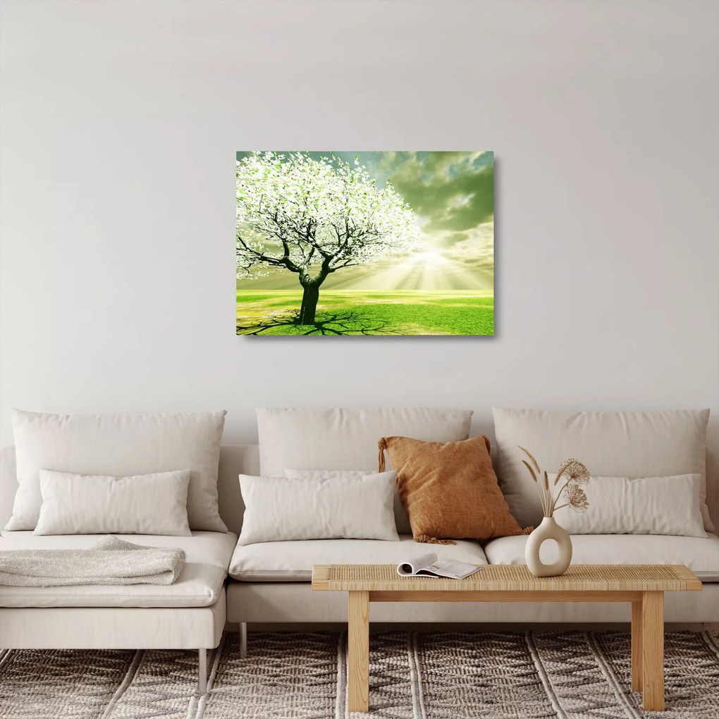 Sklenený obraz kvitnúceho stromu (70x50 cm)