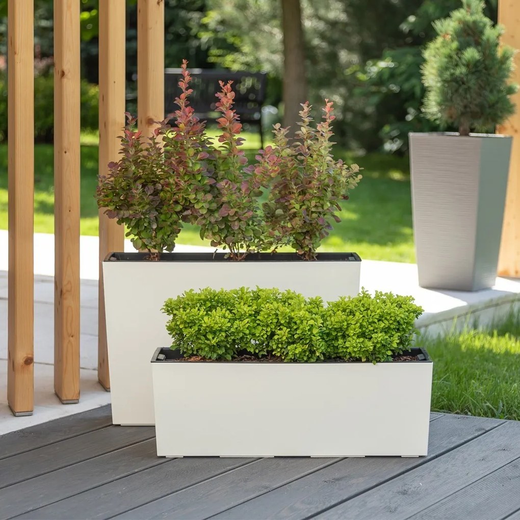 Balkónový truhlík BOUQUET 56 cm biely