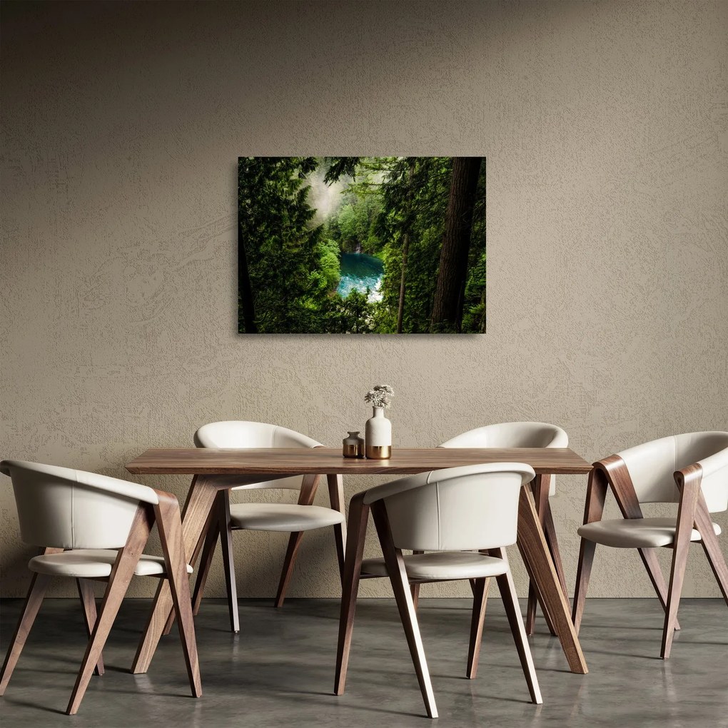 Sklenený obraz - Priezor medzi stromami (70x50 cm)