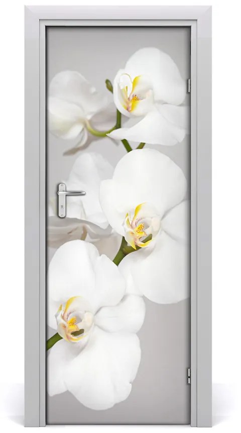 Fototapeta na dvere biela orchidea 75x205 cm