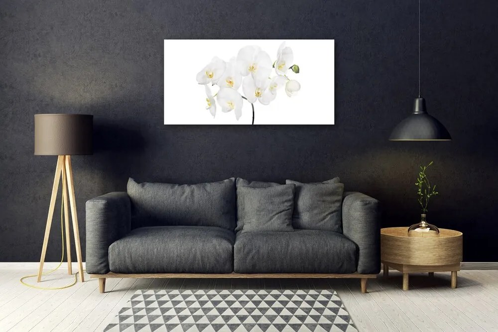 Skleneny obraz Biela orchidea kvety 120x60 cm