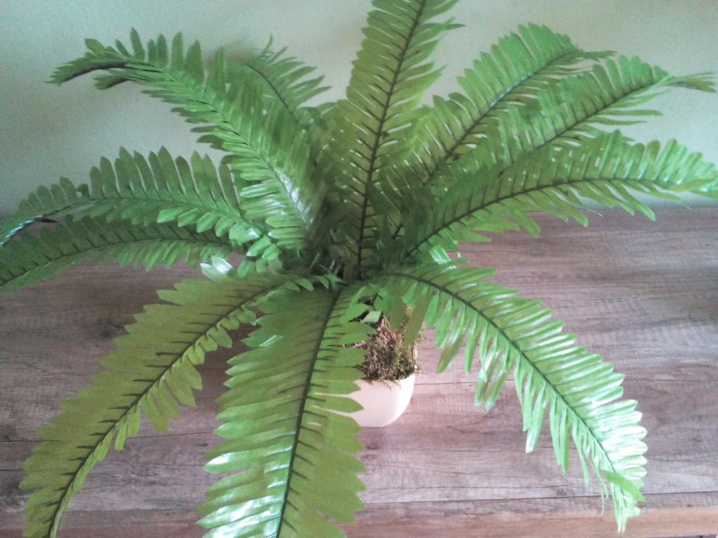 Umelá rastlina- Papraď 40 cm