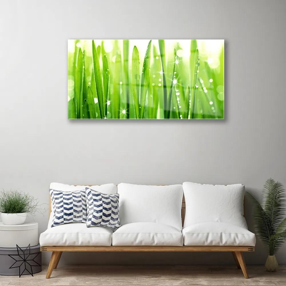 Obraz na skle Tráva rastlina príroda 100x50 cm