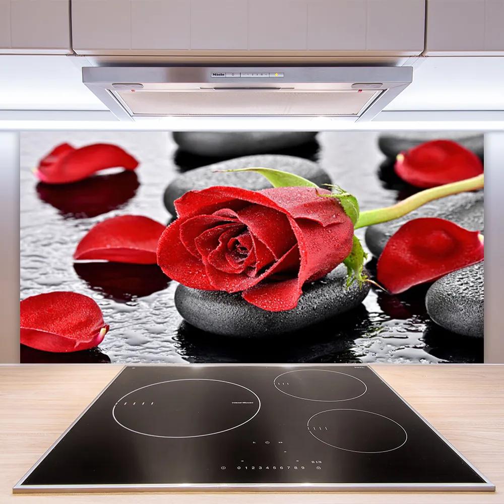 Sklenený obklad Do kuchyne Ruže kvet kamene zen 120x60 cm