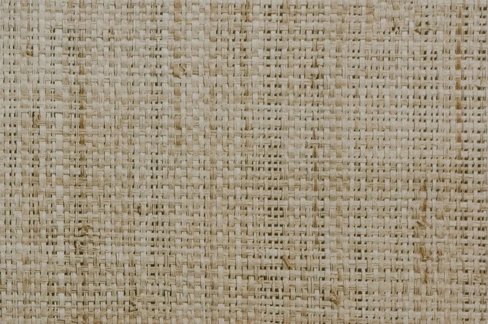 Skrinka 2-dverová Bali, dub sonoma/výplet