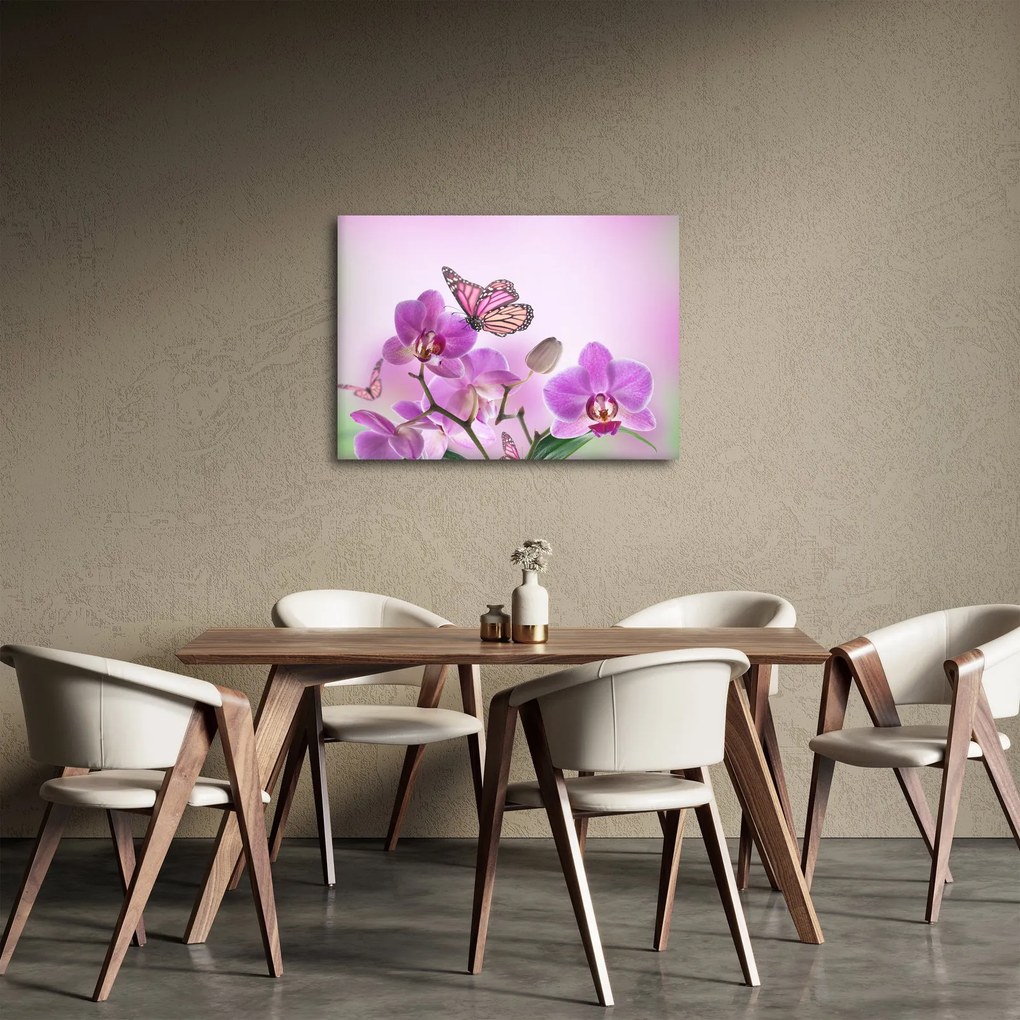 Obraz - Motýľ na kvetoch orchidey, lila (70x50 cm)