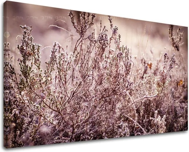 Obraz na stenu KVETY KV066E11 - 30x40 cm