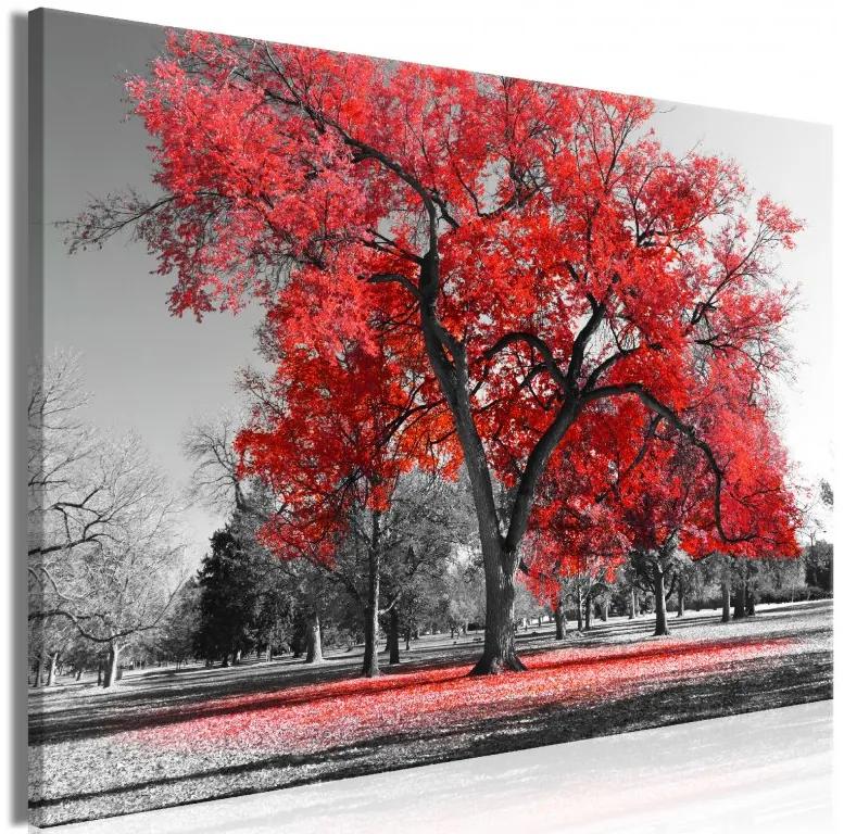 Artgeist Obraz - Autumn in the Park (1 Part) Wide Red Veľkosť: 30x20, Verzia: Na talianskom plátne