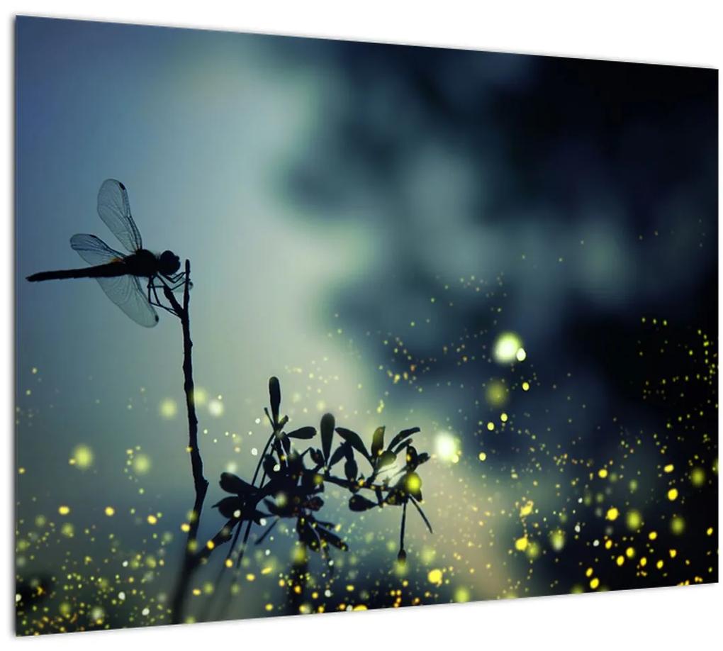 Sklenený obraz - Vážka za trblietavej noci (70x50 cm)
