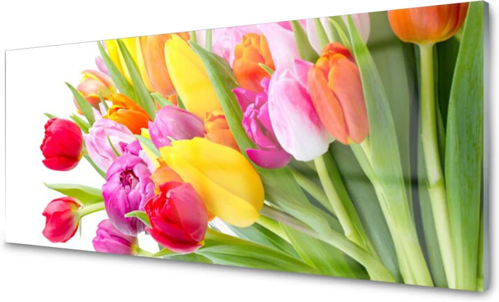 Skleněný obraz Tulipány Kvety Rastlina