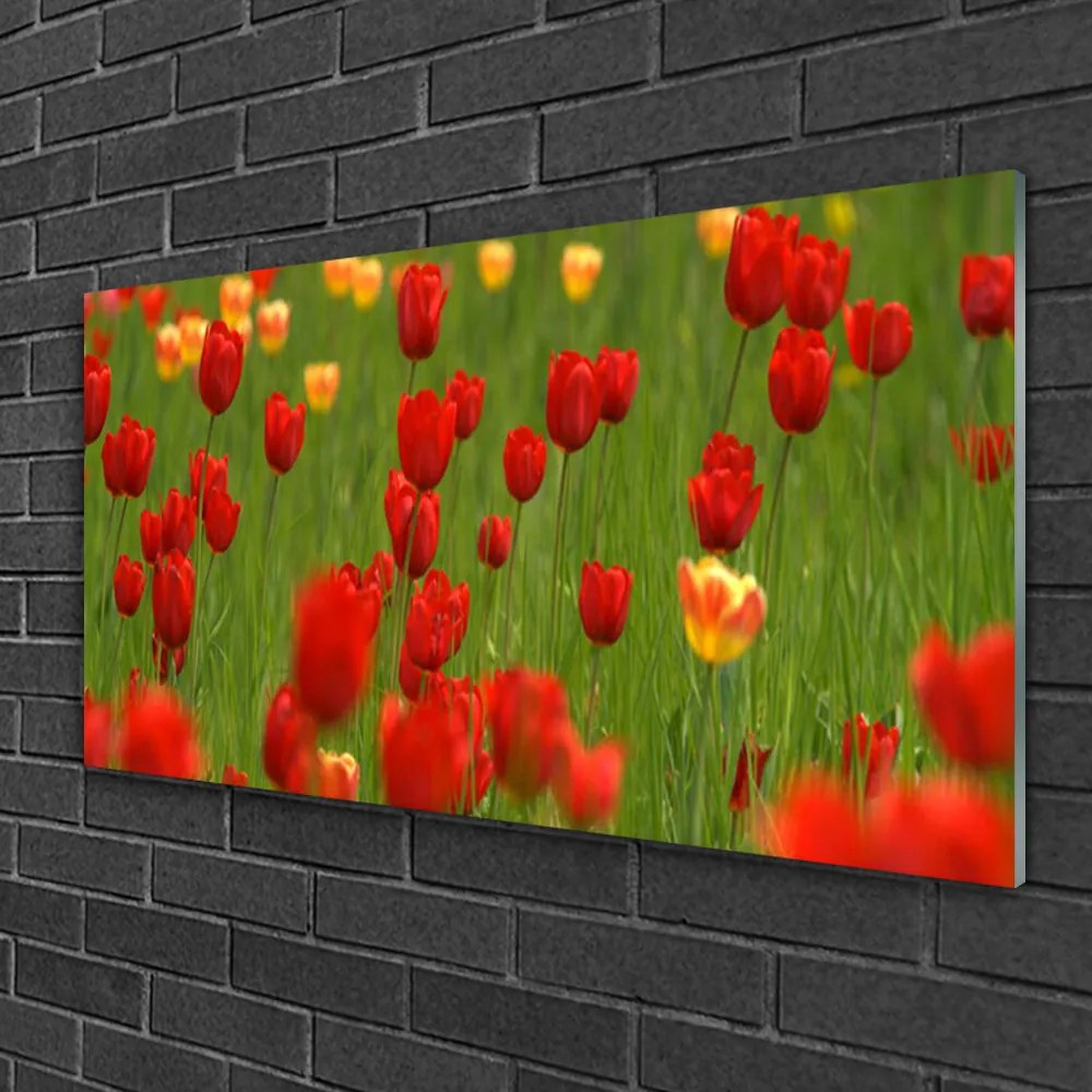 Obraz na skle Tulipány rastlina 100x50 cm