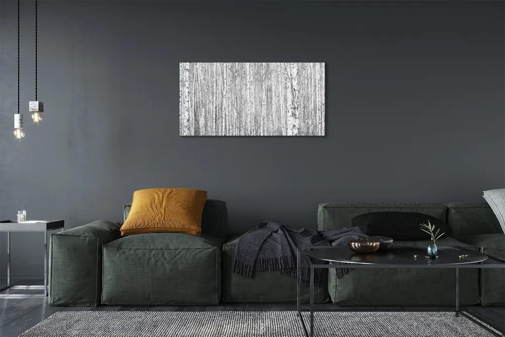 Obraz canvas Čierna a biela strom les 125x50 cm