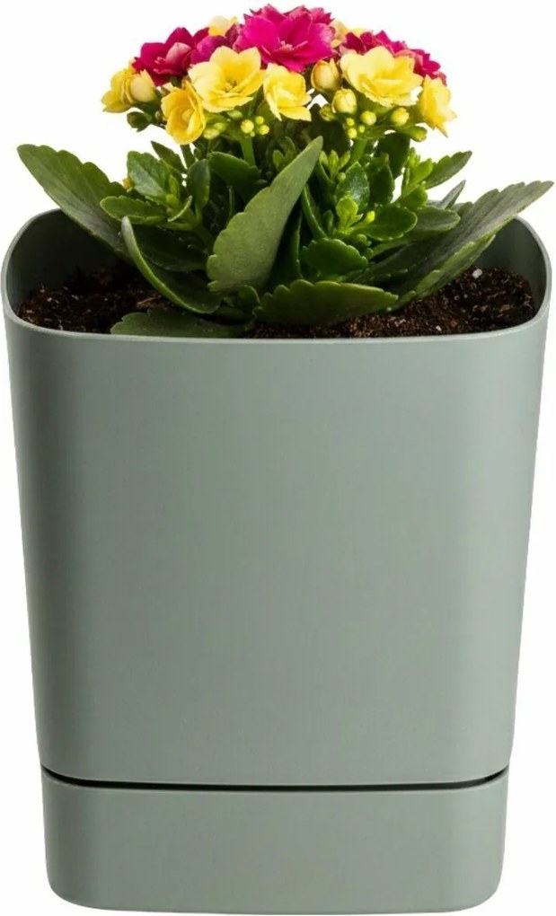 Plastový květináč s podmiskou Cubi 16x16 cm - výber z 6 prevedení